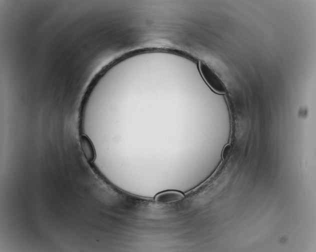 X0000103301326200809191845