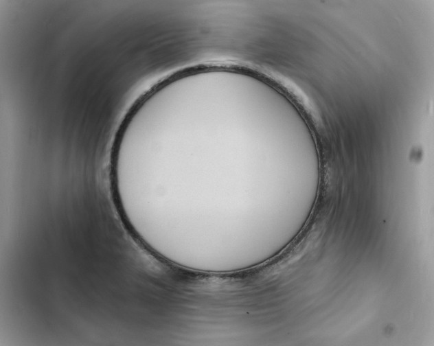 X0000103301327200809191845