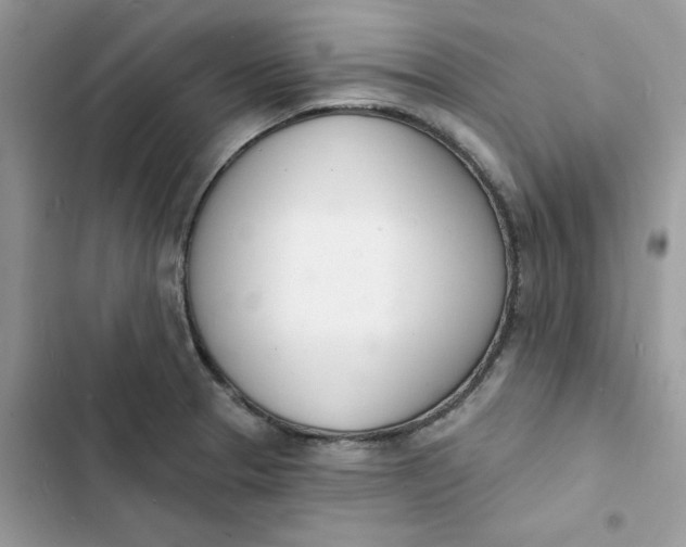 X0000103301329200809191845