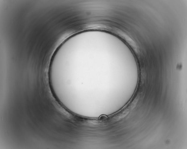 X0000103301330200809191845