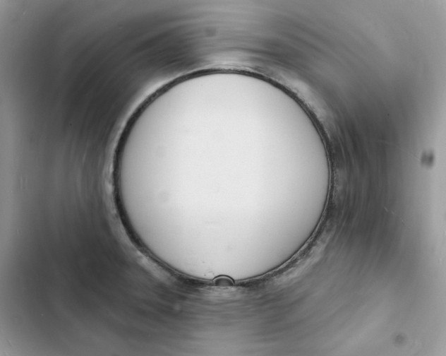 X0000103301331200809191845