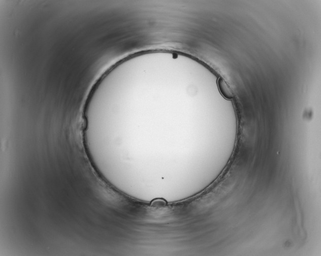 X0000103301332200809191845