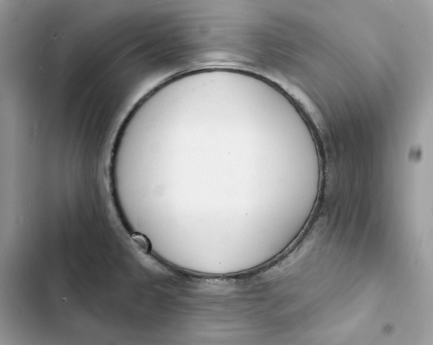 X0000103301333200809191845