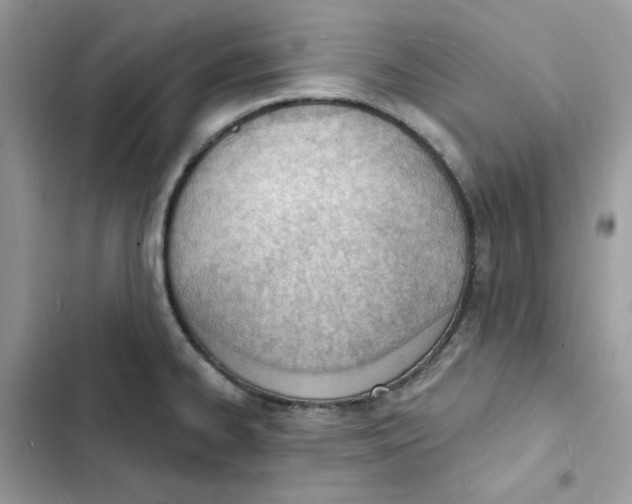 X0000103301334200809191845