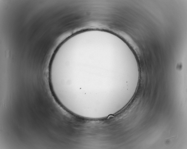 X0000103301335200809191845