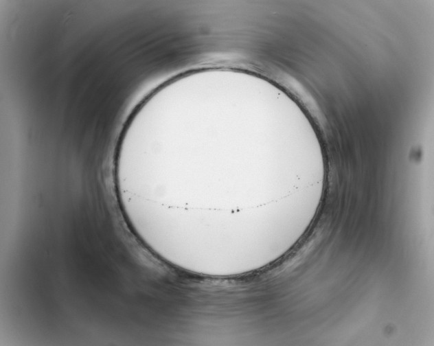 X0000103301336200809191845