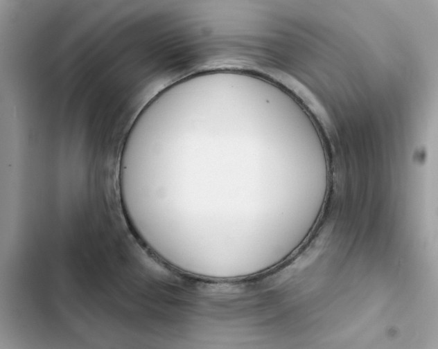 X0000103301337200809191845