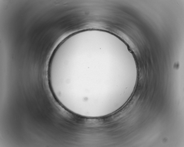 X0000103301339200809191845