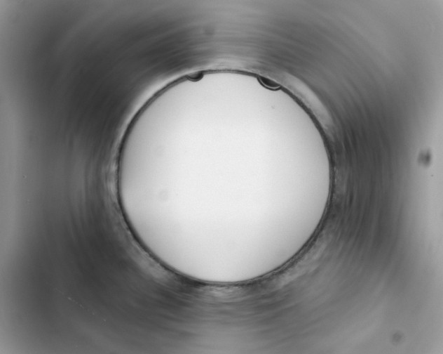 X0000103301340200809191845