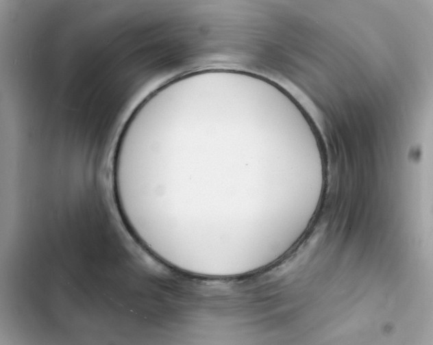 X0000103301341200809191845