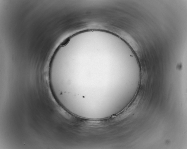 X0000103301342200809191845