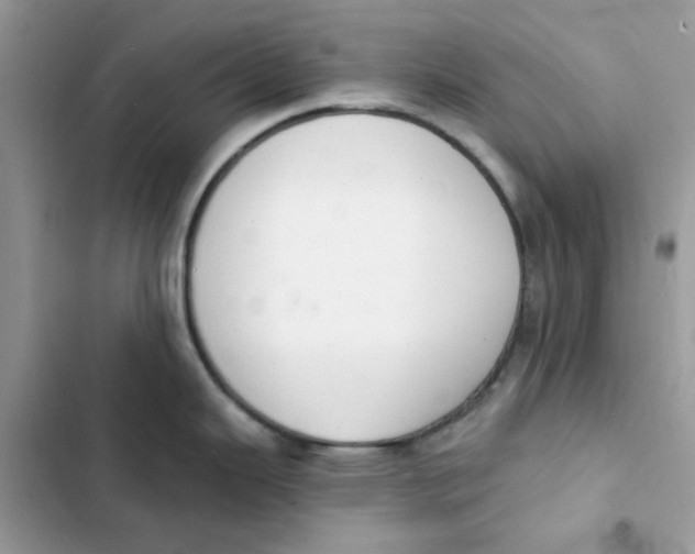 X0000103301343200809191845