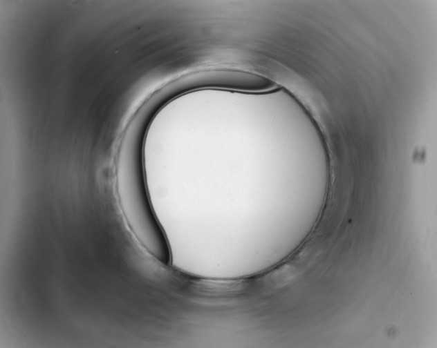 X0000103301344200809191845