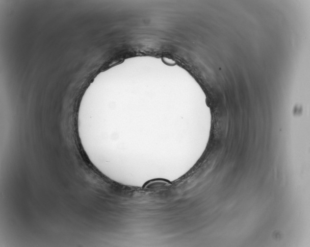 X0000103301345200809191844