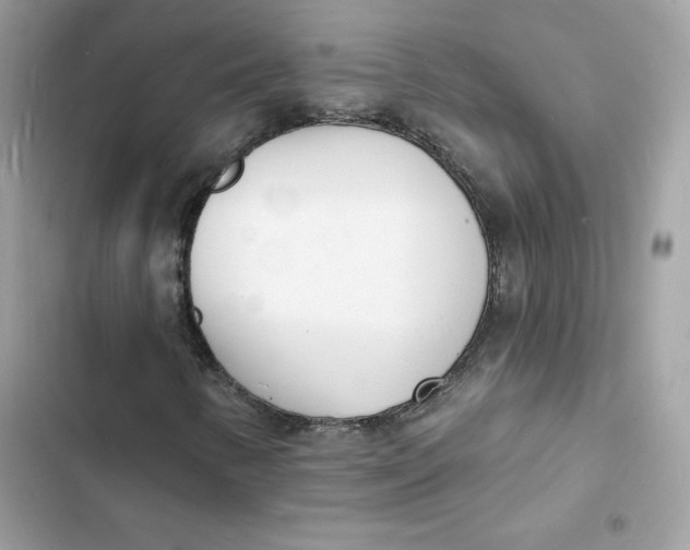 X0000103301346200809191844