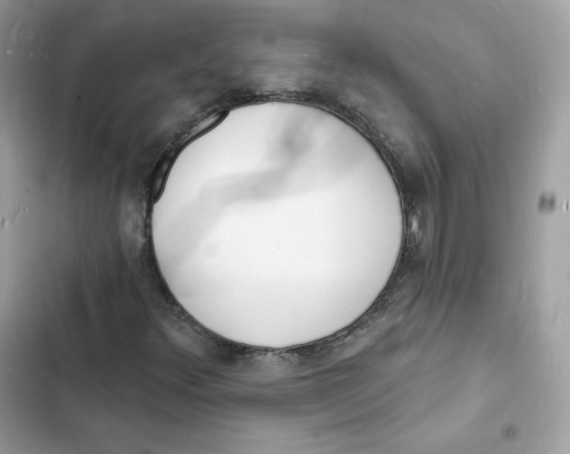 X0000103301348200809191844