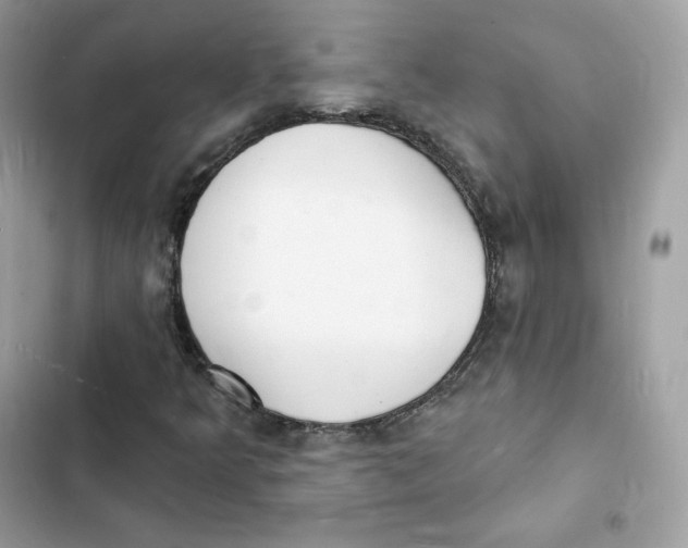 X0000103301349200809191844