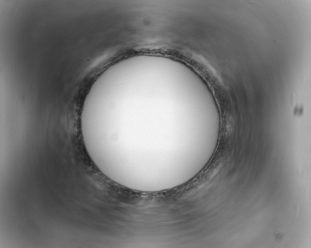 X0000103301350200809191844