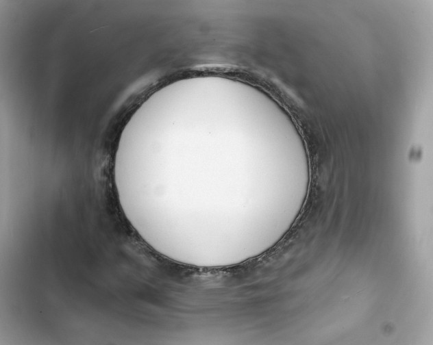 X0000103301351200809191844