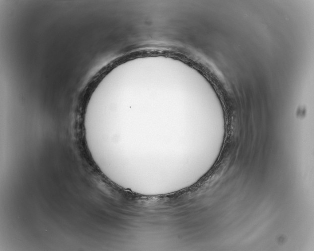 X0000103301352200809191844