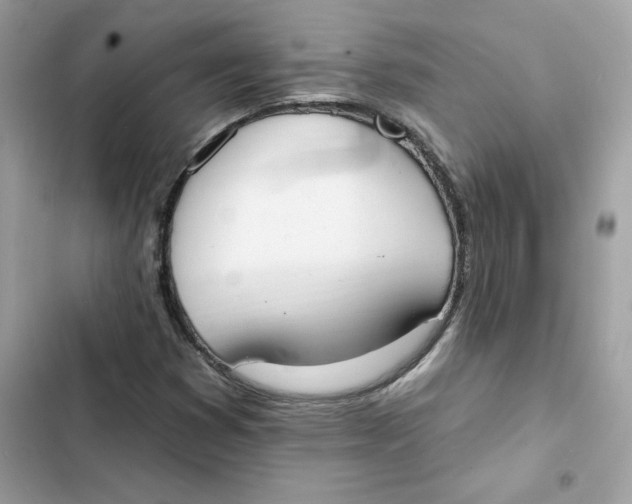 X0000103301353200809191844