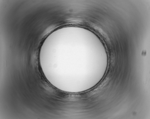 X0000103301354200809191844