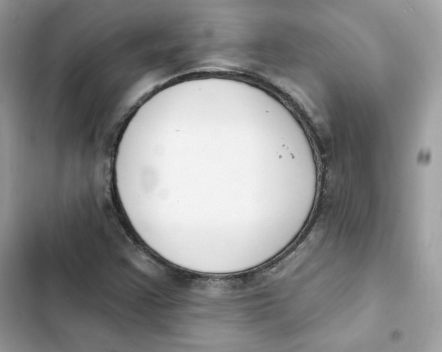 X0000103301355200809191844