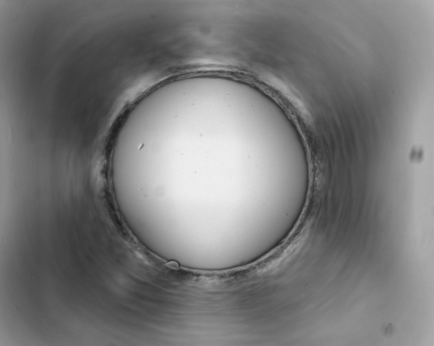 X0000103301357200809191844