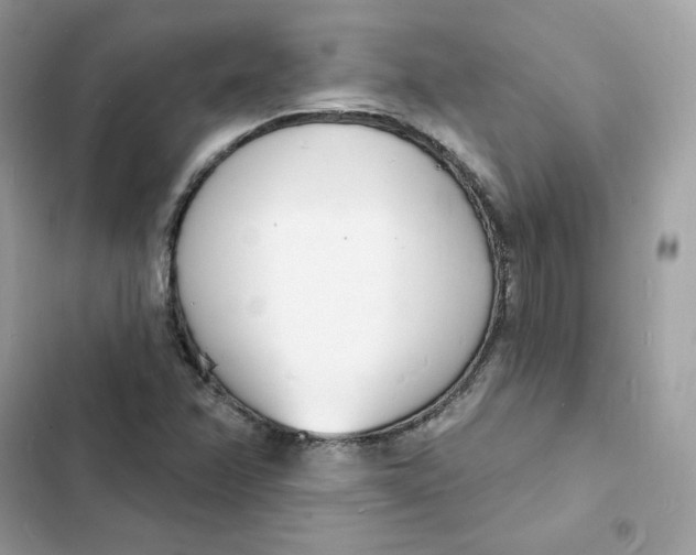 X0000103301358200809191844