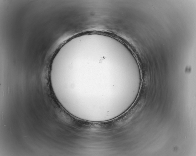 X0000103301359200809191844