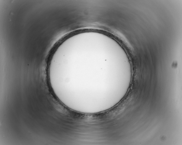 X0000103301360200809191844