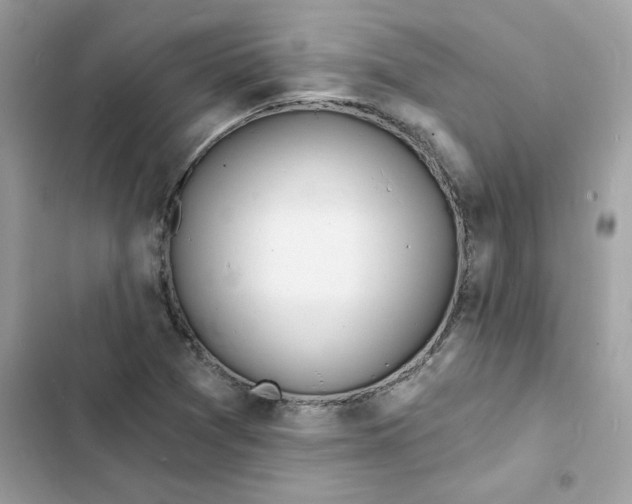 X0000103301361200809191844