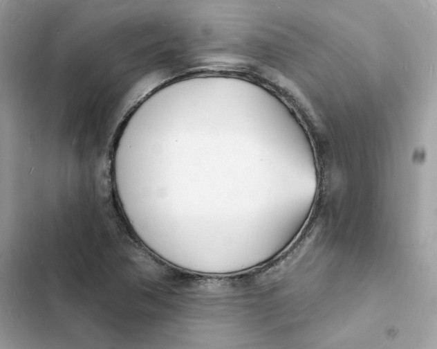 X0000103301362200809191844