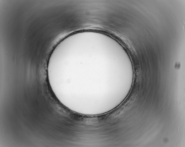 X0000103301363200809191844