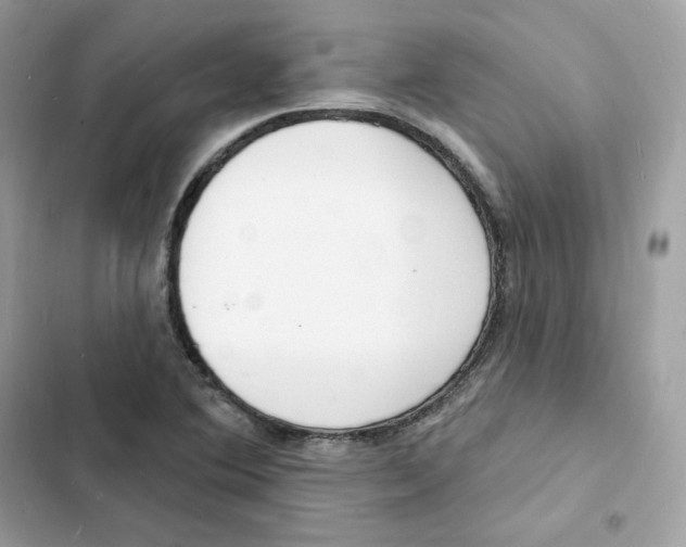 X0000103301364200809191844