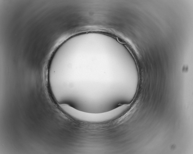 X0000103301365200809191844