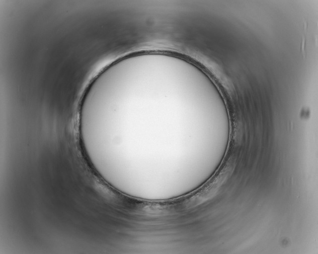 X0000103301366200809191844