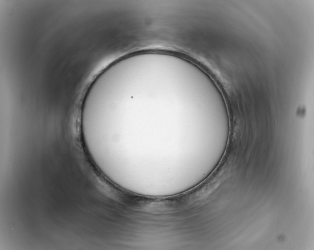 X0000103301367200809191844