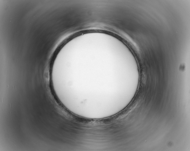 X0000103301368200809191844