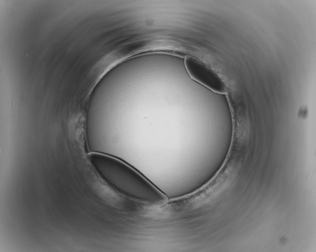 X0000103301369200809191844