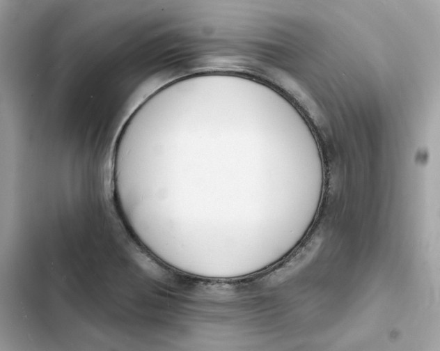 X0000103301370200809191844