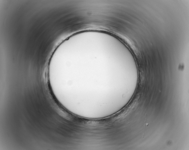 X0000103301371200809191844