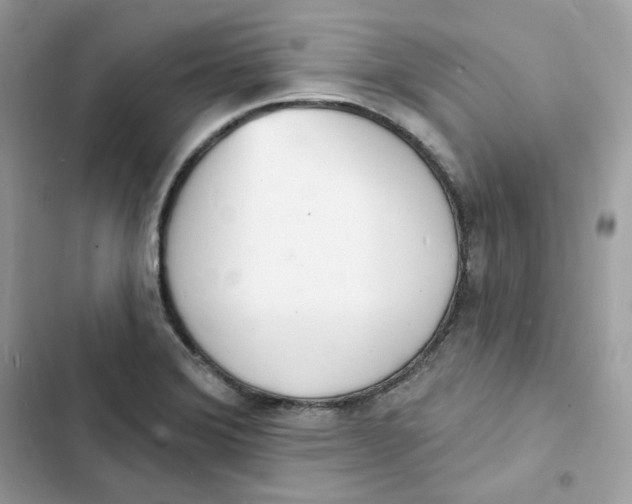 X0000103301372200809191844