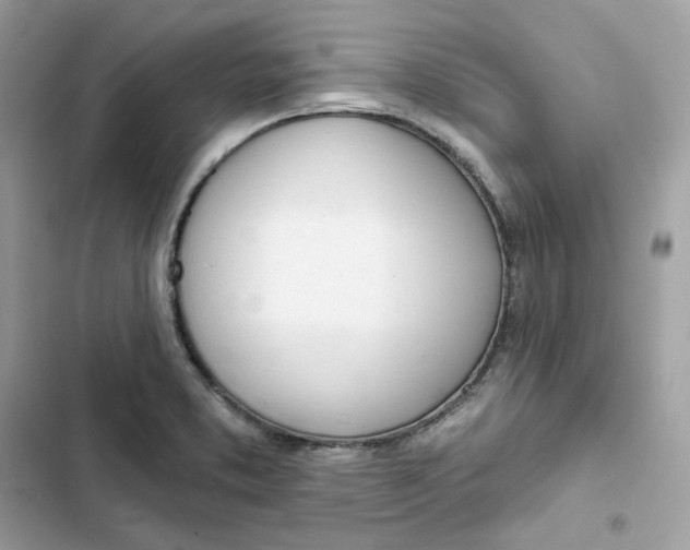 X0000103301373200809191844