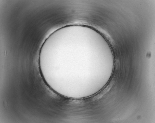 X0000103301374200809191844