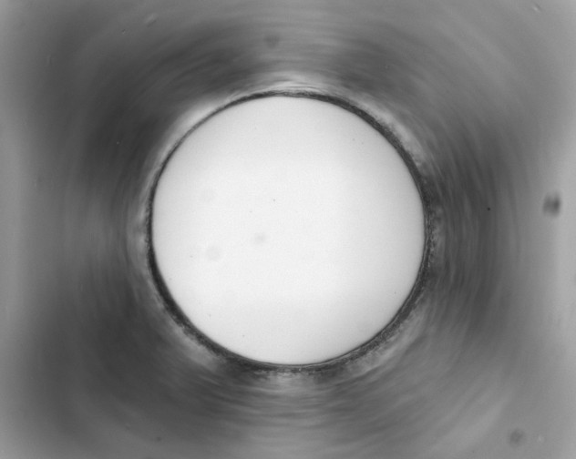 X0000103301375200809191844