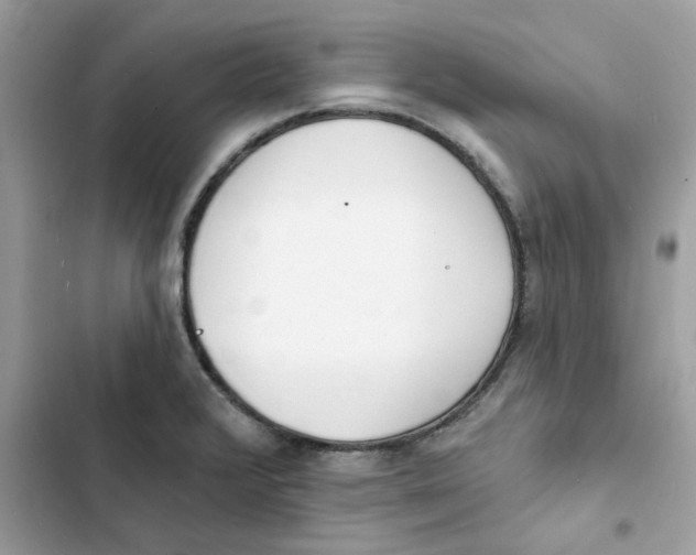 X0000103301376200809191844