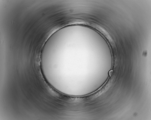 X0000103301377200809191844