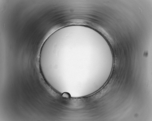 X0000103301378200809191844