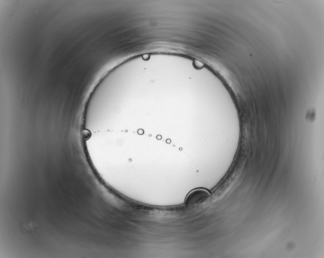 X0000103301379200809191844